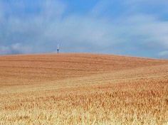 ​爱体育在线基地展示6