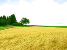 ​爱体育在线基地展示5