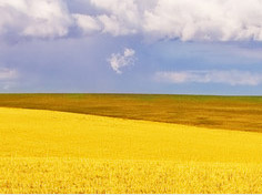 ​爱体育在线基地展示4