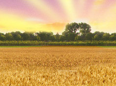 ​爱体育在线基地展示3