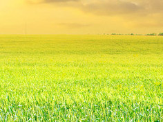 ​爱体育在线基地展示1